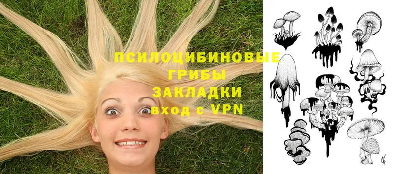 Псилоцибиновые грибы Psilocybe  Красноуральск 